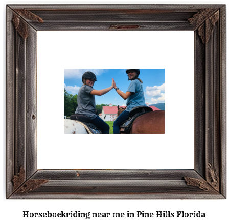 horseback riding near me in Pine Hills, Florida